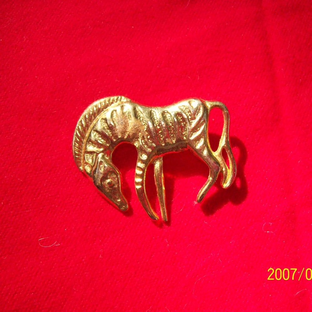 Zebra Pin
